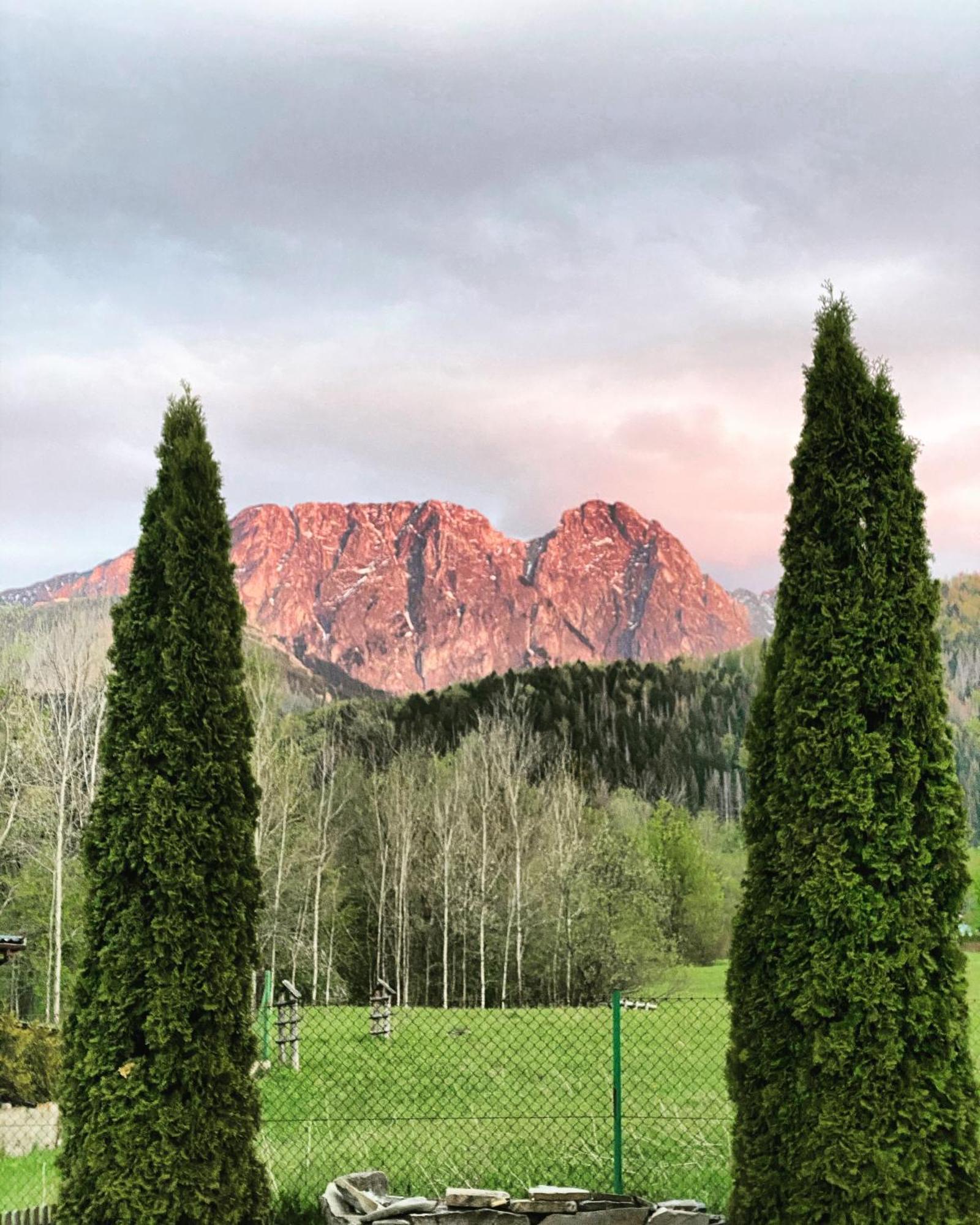 Zolta Turnia Appartement Zakopane Buitenkant foto